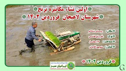 اولین نشا مکانیزه برنج شهرستان لاهیجان ۱۴۰۲
