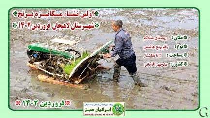 اولین نشا مکانیزه برنج شهرستان لاهیجان ۱۴۰۲