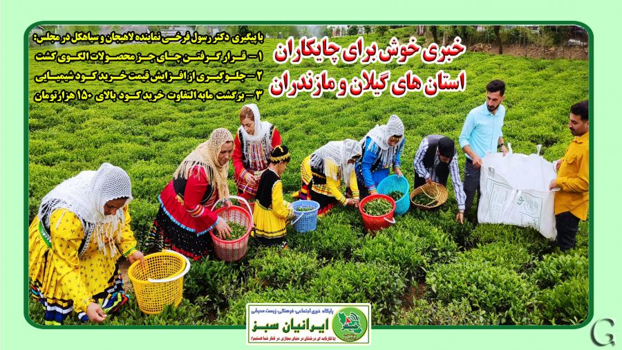 خبری خوش برای چایکاران استان های گیلان و مازندران