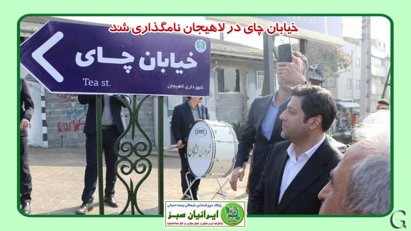 خیابان چای در لاهیجان نامگذاری شد