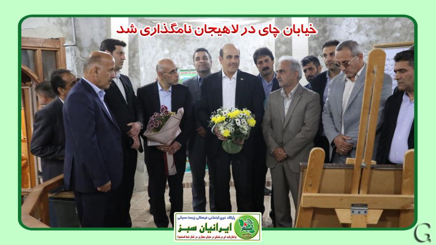 خیابان چای در لاهیجان نامگذاری شد